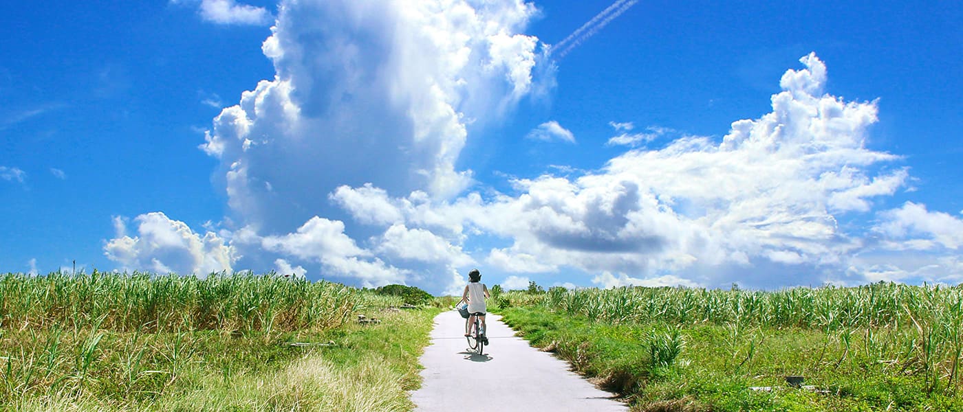 【無料お試しあり】ゲオ宅配レンタルで見逃せない映画を楽しもう！動画配信サービスにはない作品が満載！